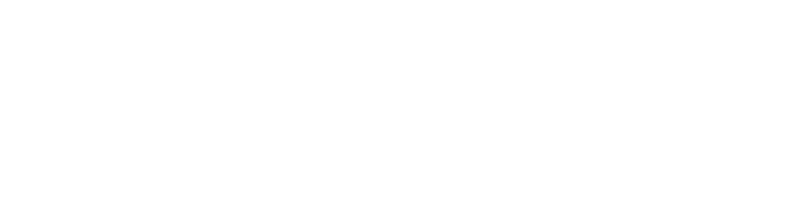 SO.D.E.M.I.